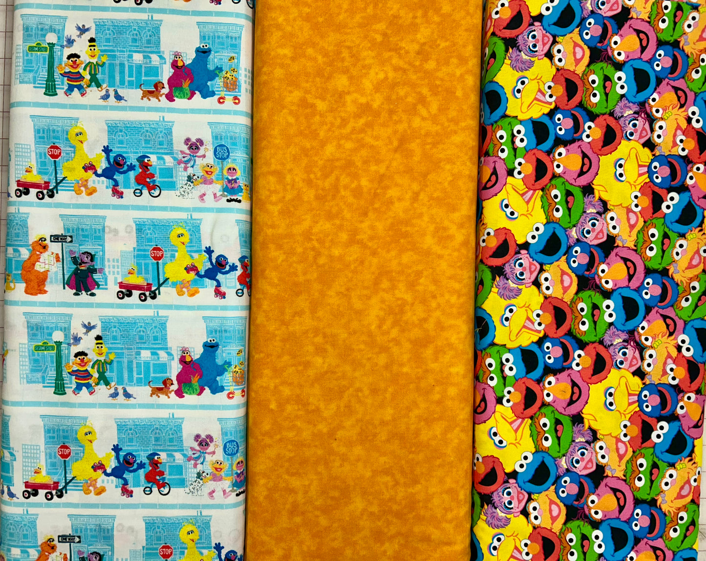 Sesame Street Pillowcase KIT