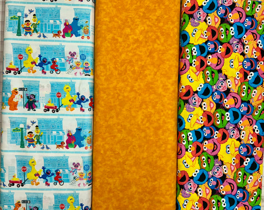 Sesame Street Pillowcase KIT