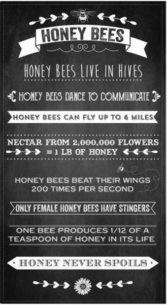 Queen Bee Honeybees Panel