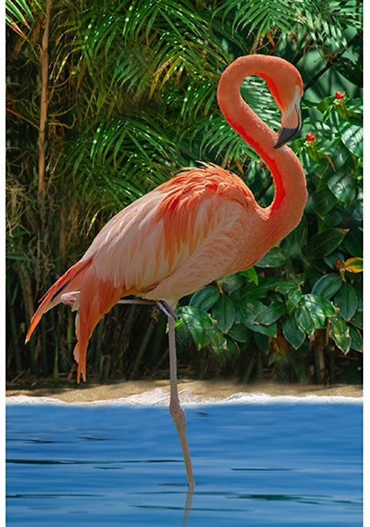 Call of the Wild Flamingo Panel