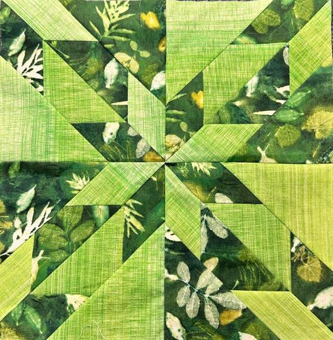 1/9/26 ~ Hunter Star Quilt CLASS